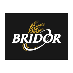 Logo-Bridor